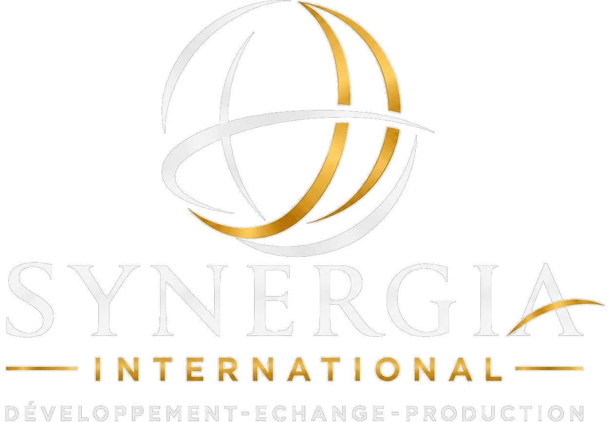 Synergia International — Développement, Échange, Production